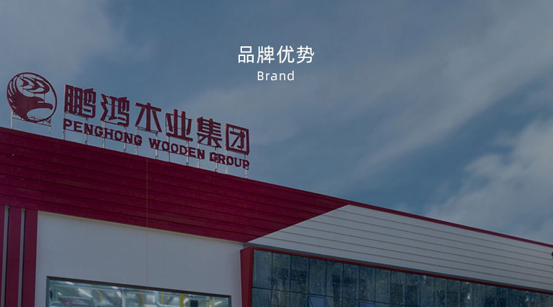 板材品牌、全屋定制品牌、生態(tài)板十大品牌